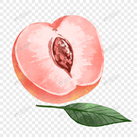 看片软件APP应用